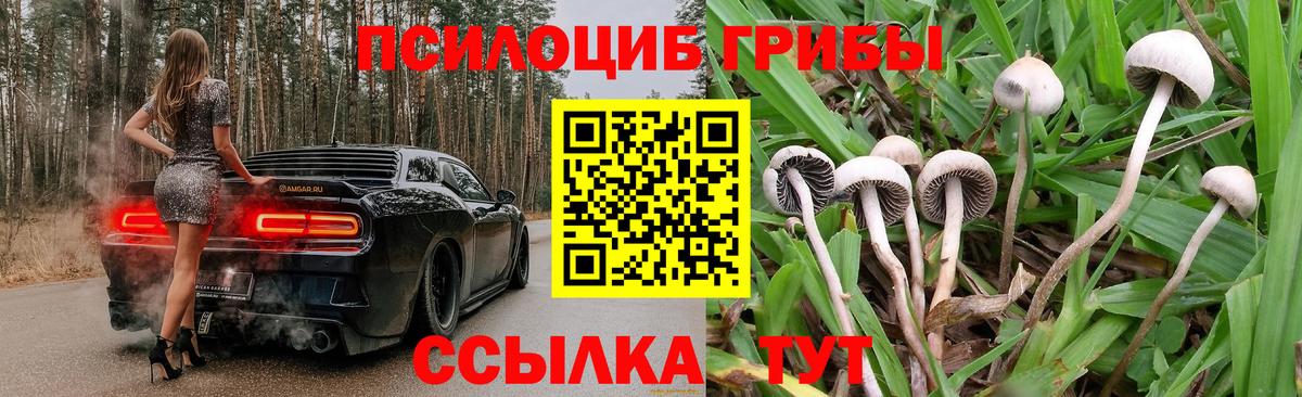 Галлюциногенные грибы Psilocybe  Вход с VPN  Ростов Великий 